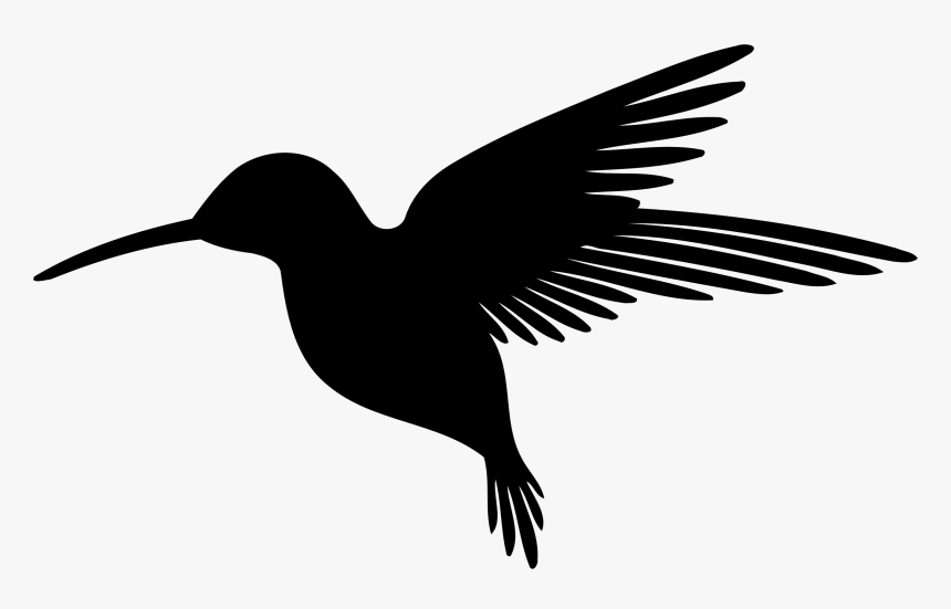 Clipart - Silhouette Hummingbird Clipart, HD Png Download