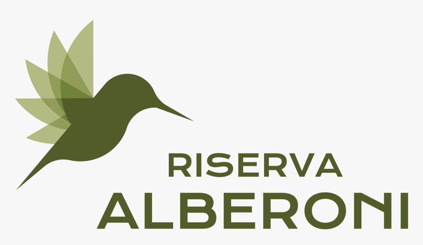 Transparent Ruby Throated Hummingbird Clipart - Ruby-throated Hummingbird, HD Png Download