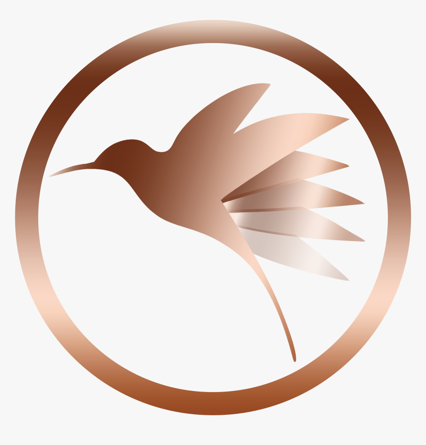 Follow The Hummingbird Consulting, Pbc - Diga Não A Dilma, HD Png Download