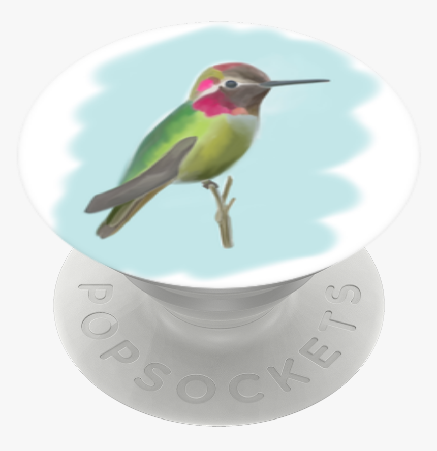 Ruby-throated Hummingbird, HD Png Download