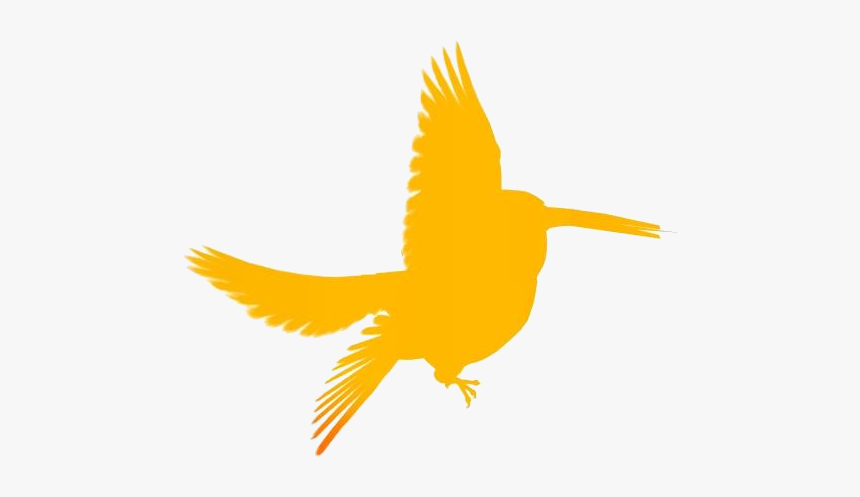 Hummingbird Painting Png Image Clipart - Portable Network Graphics, Transparent Png