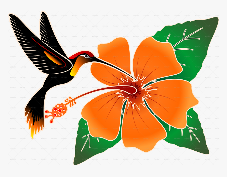 Transparent Clipart Den - Hibiscus And Hummingbird Png, Png Download