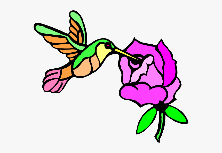 Draw Hummingbirds And Flower, HD Png Download
