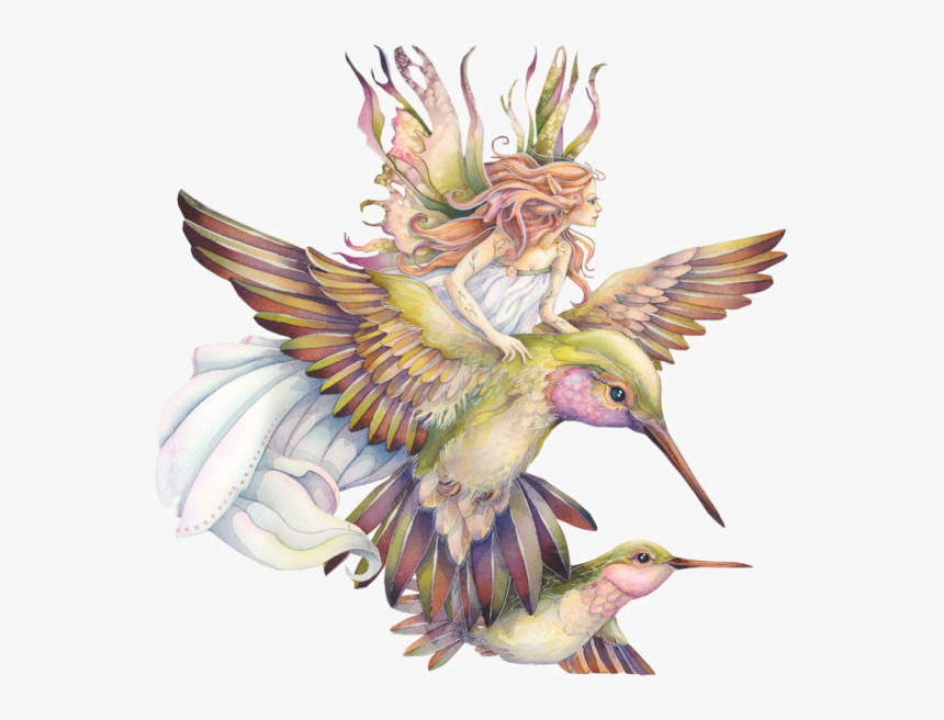 Faerie Drawing Hummingbird - Spirit Of The Animals Oracle By Jody Bergsma, HD Png Download