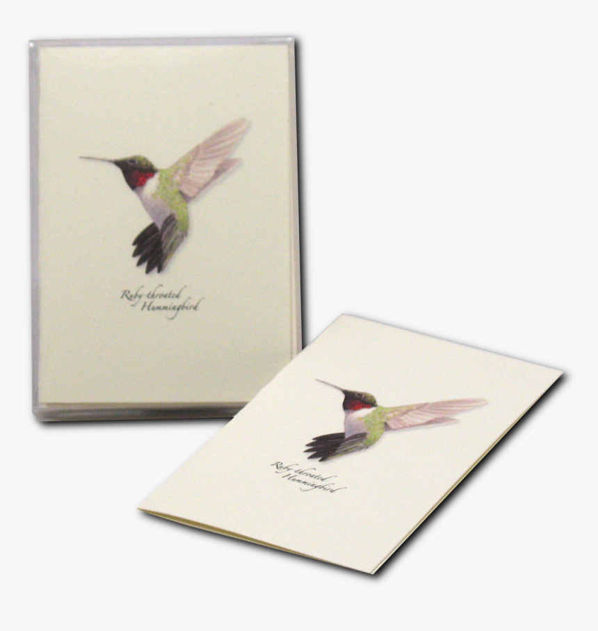 Hummingbird Illustration, HD Png Download
