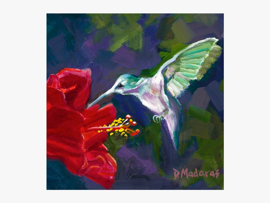 Hummingbird & The Hibiscus, HD Png Download
