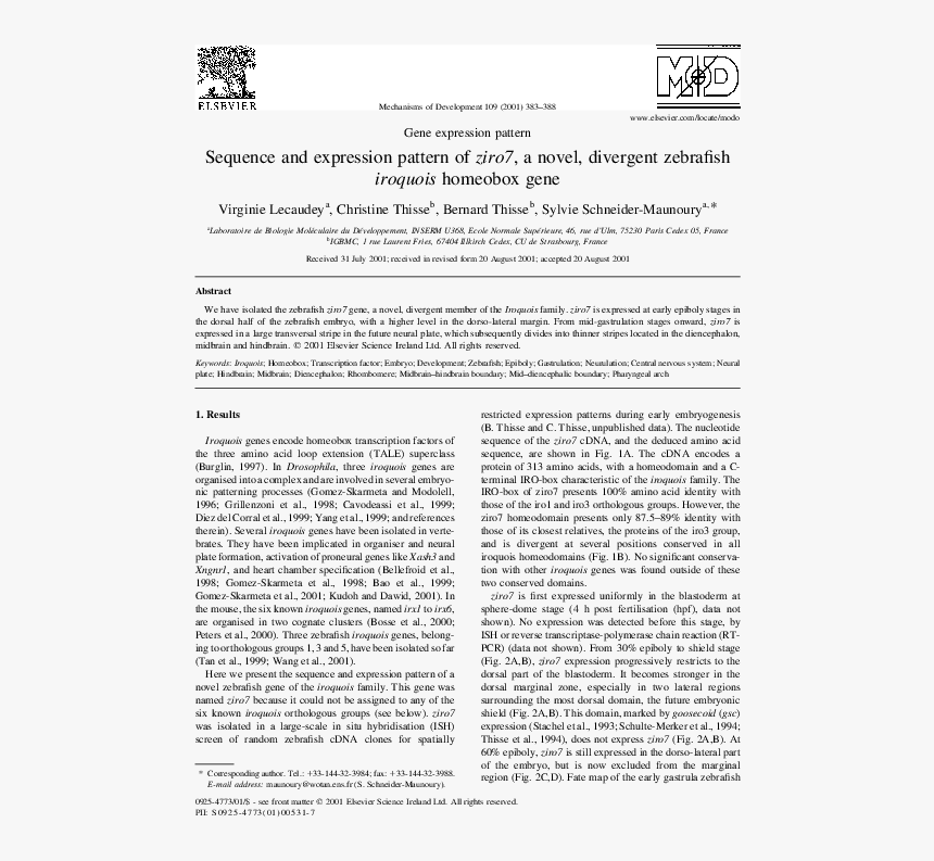 Folio Eleven From Burchard Of Sion's De Locis Ac Mirabilibus, HD Png Download