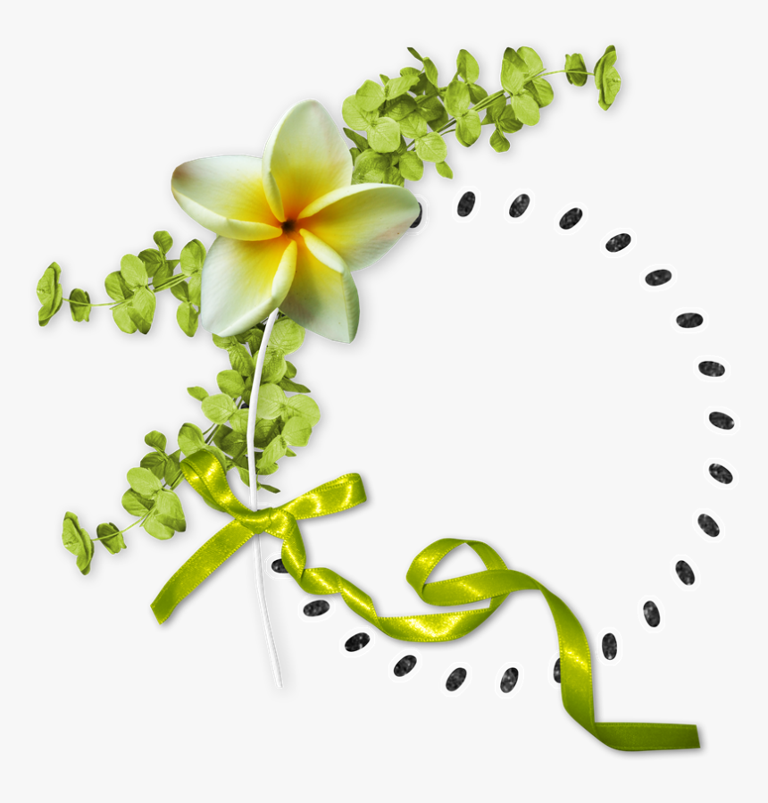 Floral Design Flower - Flower, HD Png Download