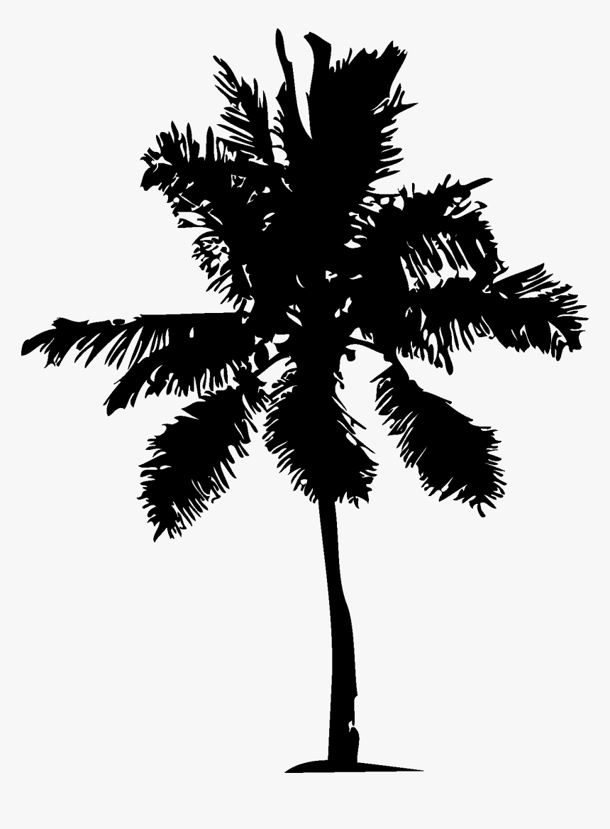 Trees Silhouette Free Vector Download Tree Silhouettes - Free Vector Download Tree Silhouettes, HD Png Download