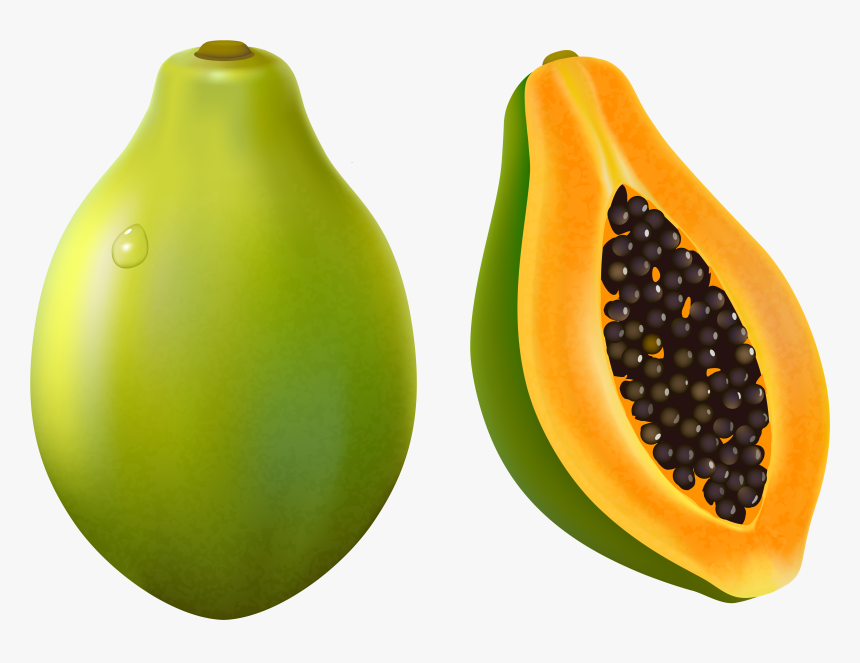 Papaya Clip Art, HD Png Download