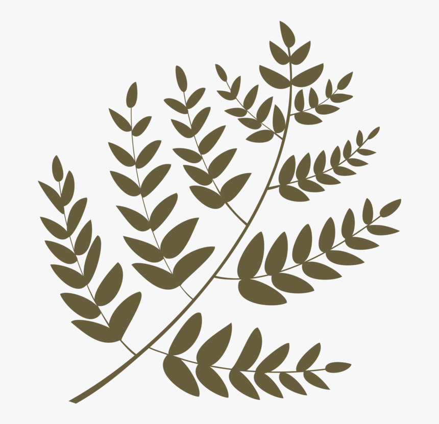 Plant,flora,leaf - Portable Network Graphics, HD Png Download