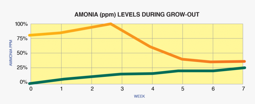 Plot, HD Png Download