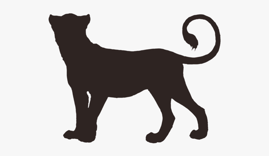 Lioden Onyx Base, HD Png Download