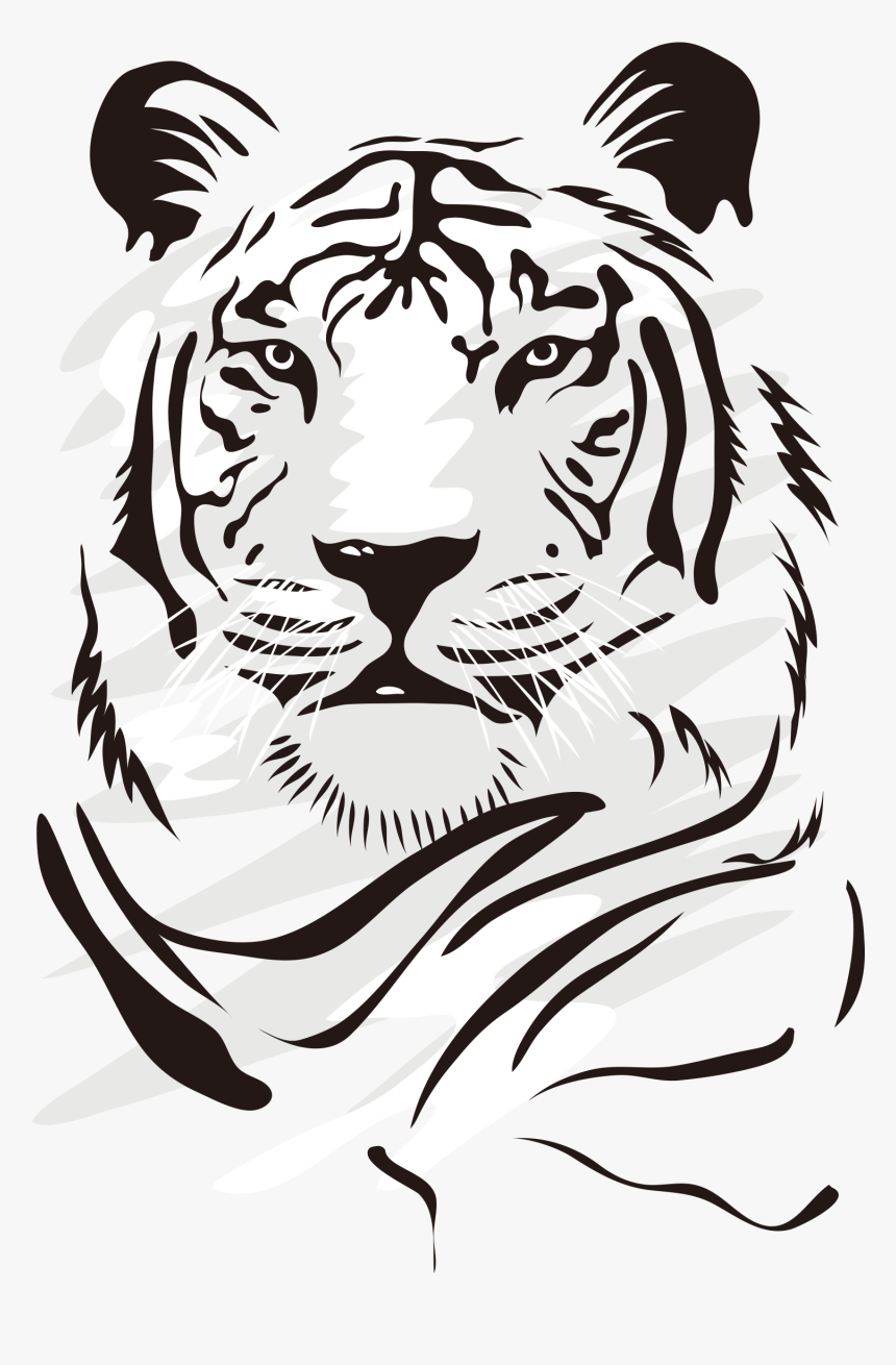 Transparent Tiger Face Png - Dibujo De Un Tigre Blanco, Png Download
