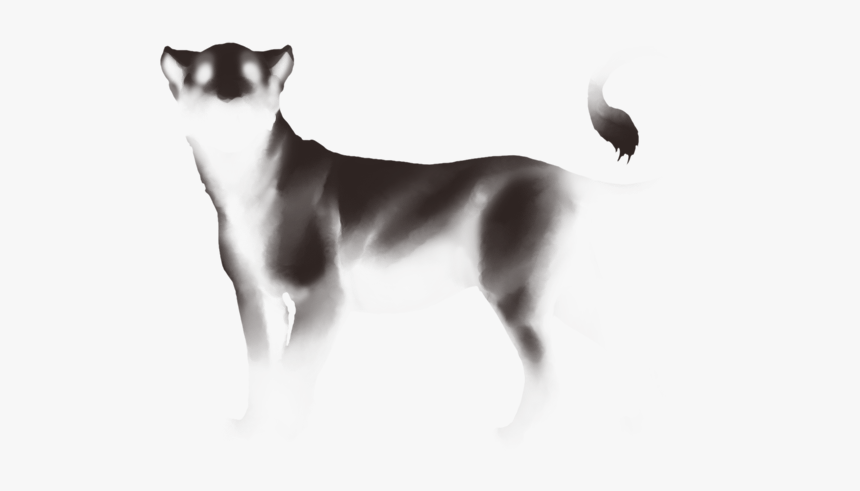 Dog Licks, HD Png Download