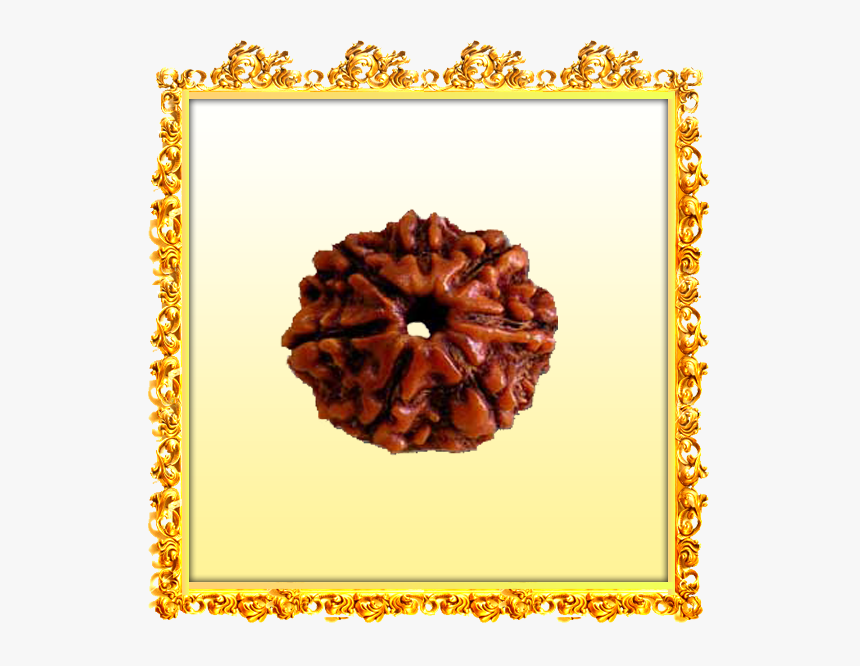 7 Mukhi Rudraksha, HD Png Download