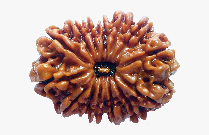 Carving, HD Png Download