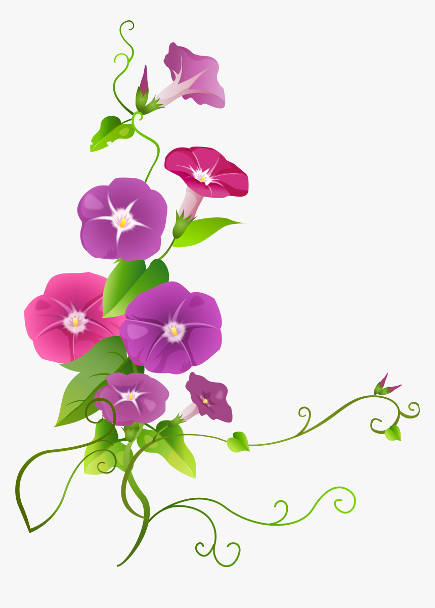 Ipomoea Flower Transparent Png Clip Art Image Png Download - Ipomoea Png, Png Download