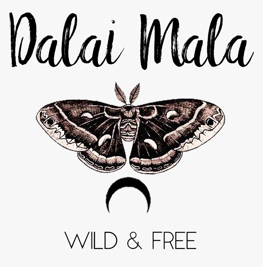 Ascalapha Odorata, HD Png Download