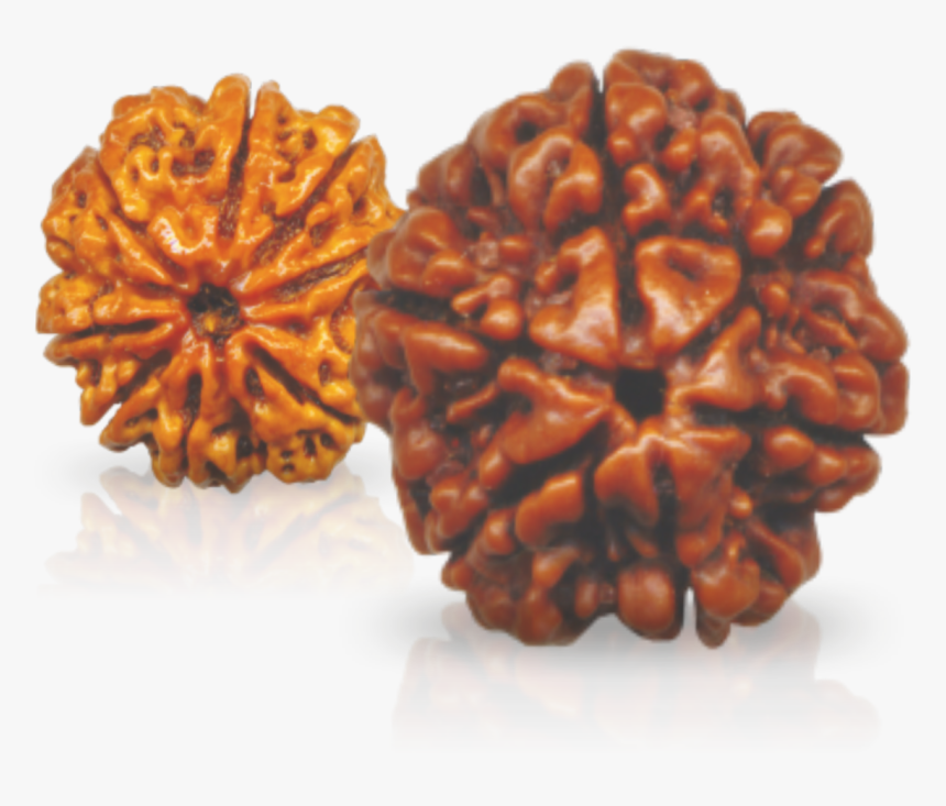 Rudraksha Beads, HD Png Download