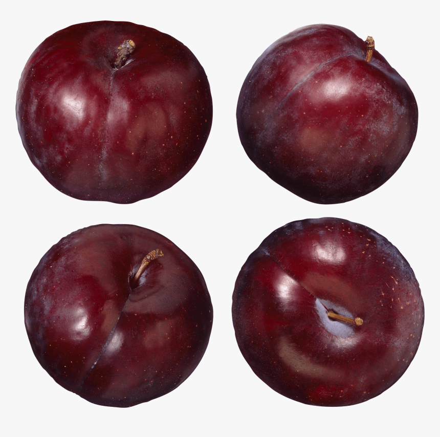 Garcinia-indica - Kiwi Wax, HD Png Download