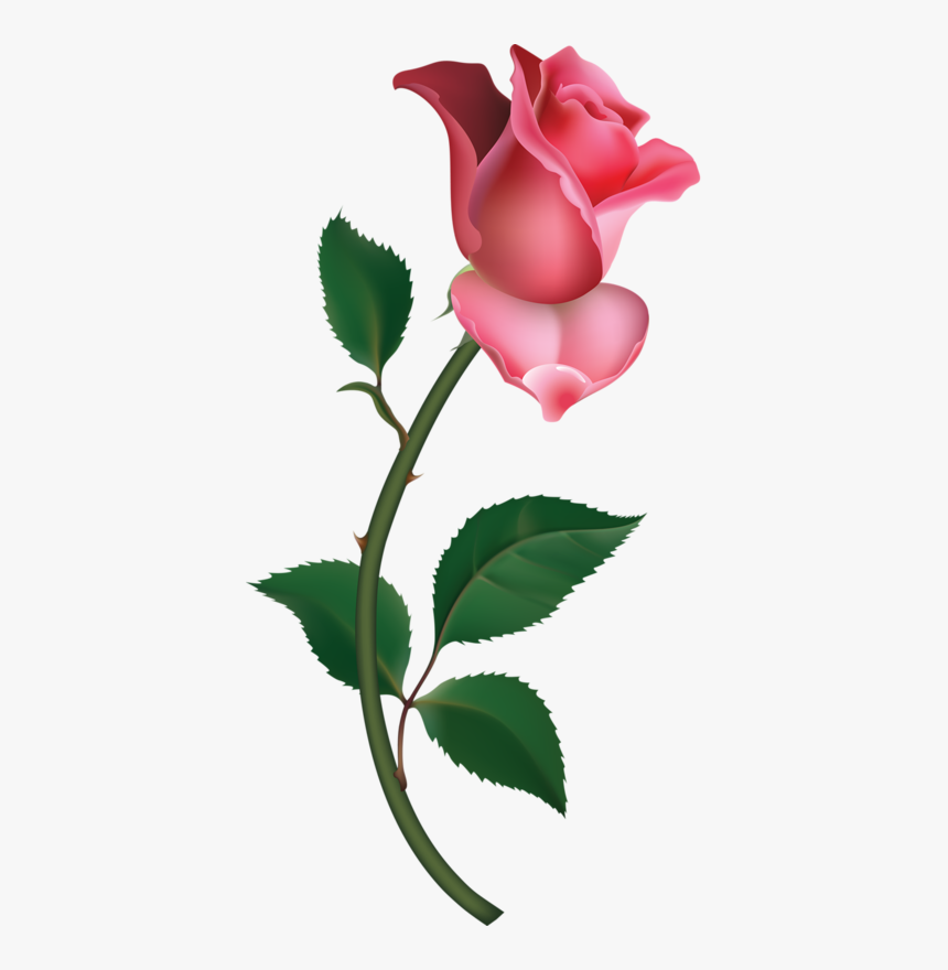 Pink Rose Clipart Small - Pink Rose Clipart, HD Png Download