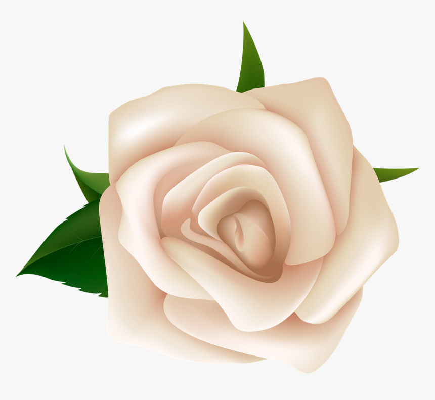 Rose Png - White Rose Clipart Png, Transparent Png