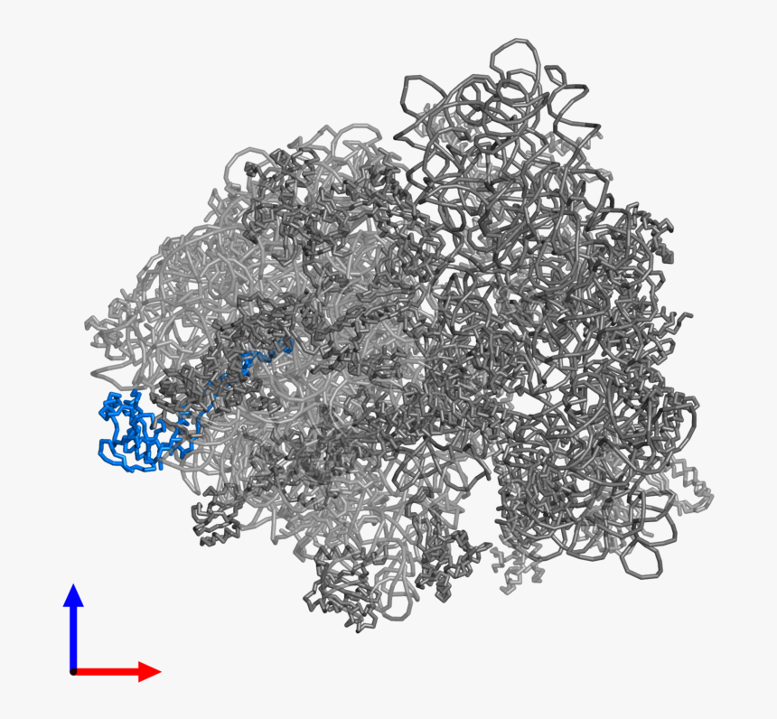 Sketch, HD Png Download