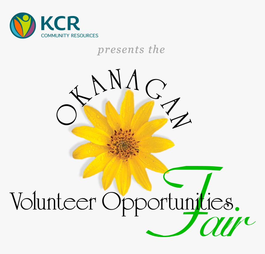 African Daisy, HD Png Download