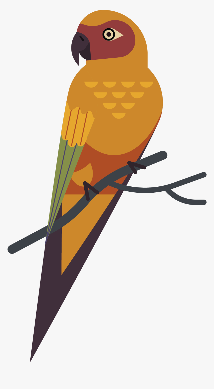 Parrot, HD Png Download