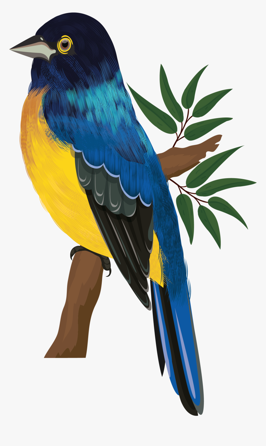 นก ไน ติง เก ล การ์ตูน, HD Png Download