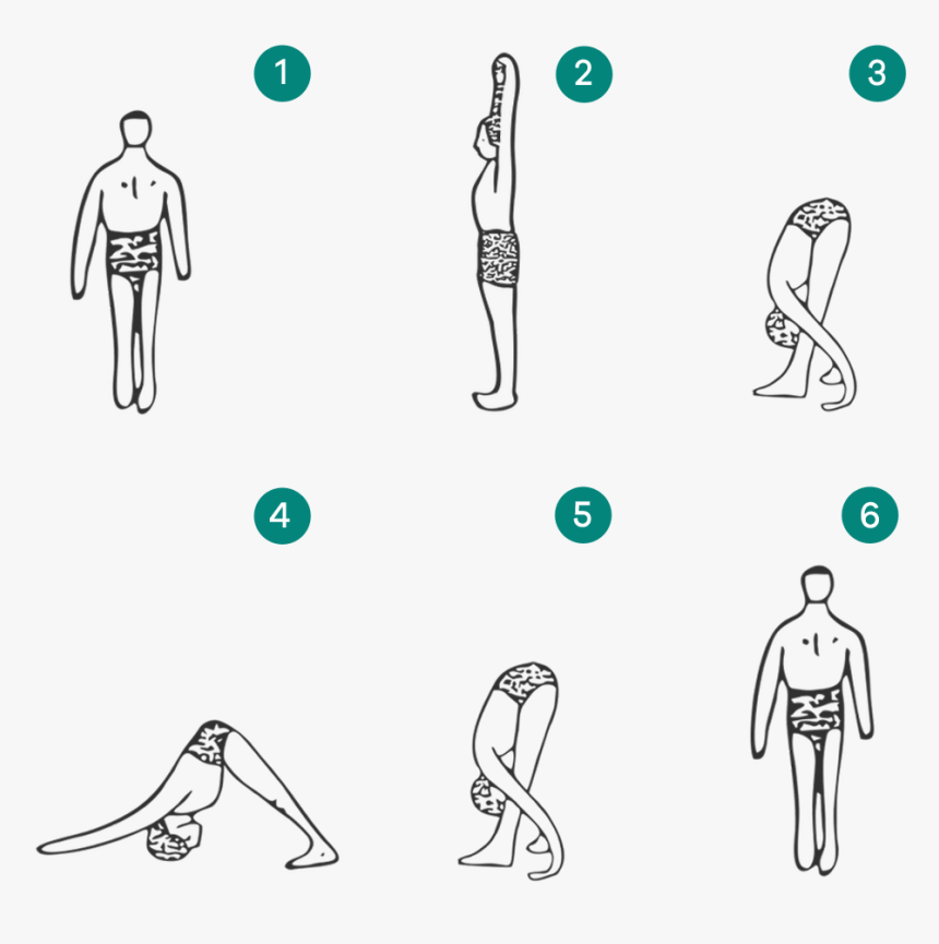 Modified Surya Namaskar - Line Art, HD Png Download
