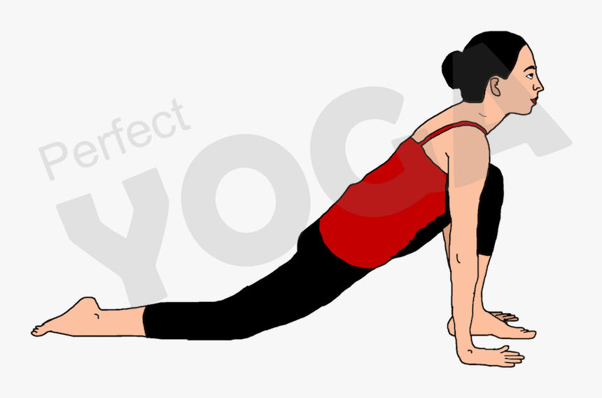 in the third stance of the purna surya namaskar arrangement press up hd png download transparent png image pngitem purna surya namaskar arrangement