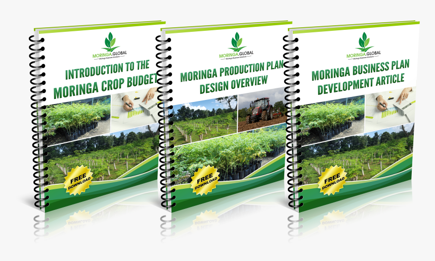 Flyer, HD Png Download