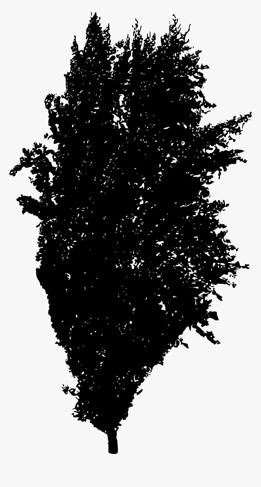 Tree Silhouette 2 - Woody Plant, HD Png Download