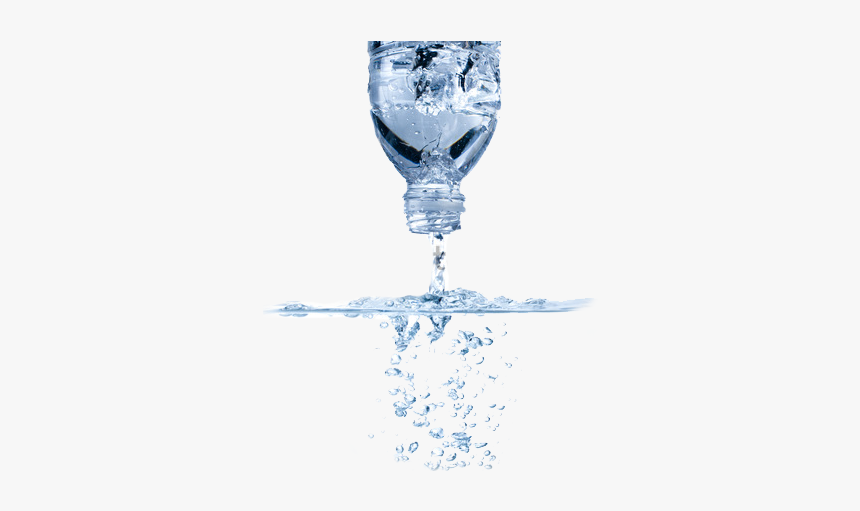 Wine Glass, HD Png Download
