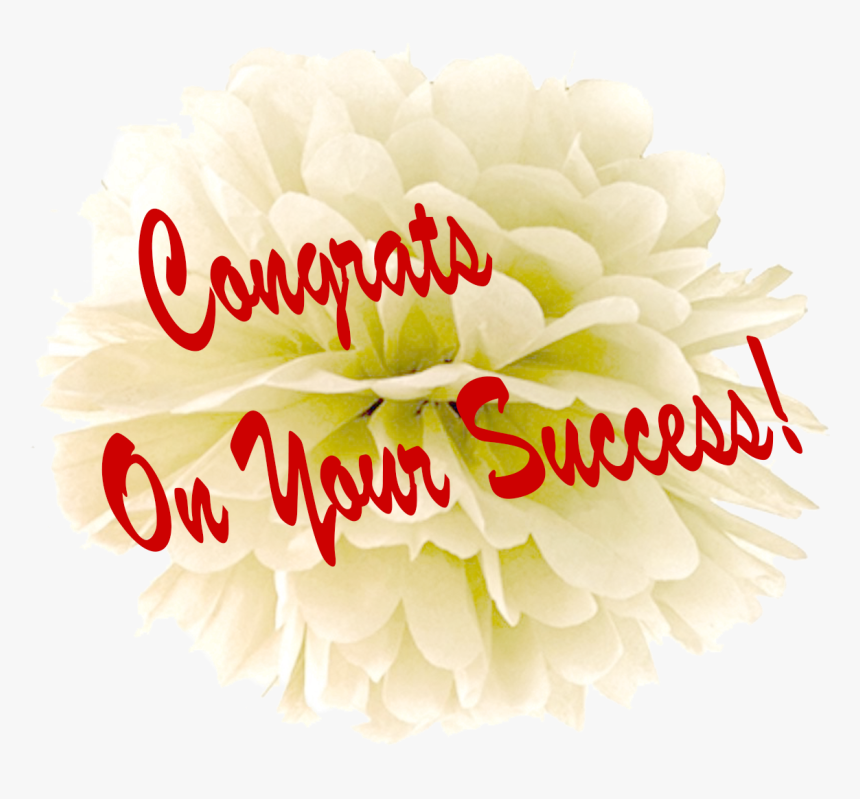 Congrats On Your Success Png Free Pic - Chrysanths, Transparent Png