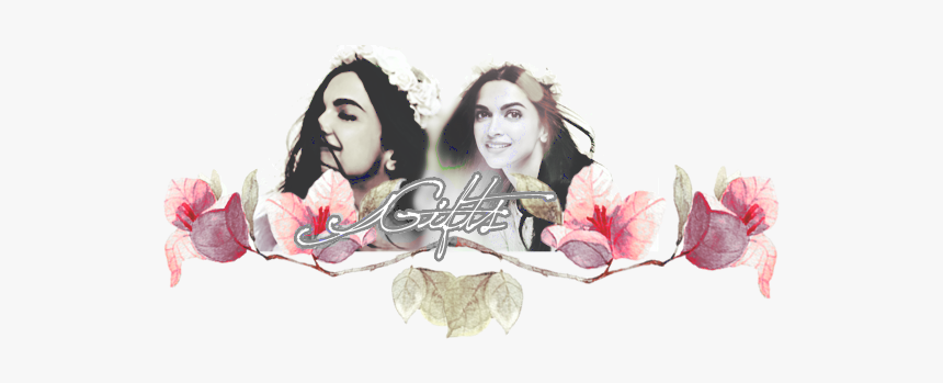 Garden Roses, HD Png Download