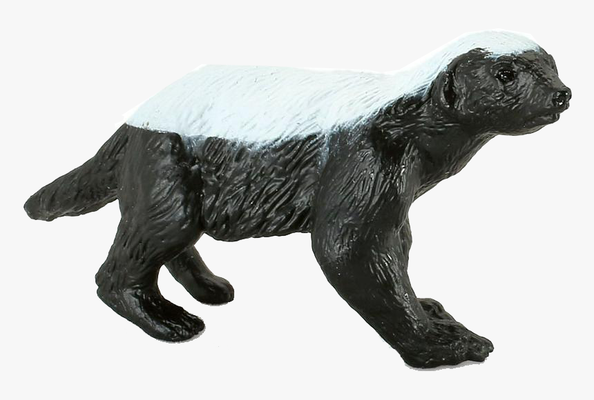 Honey Badger Png, Transparent Png