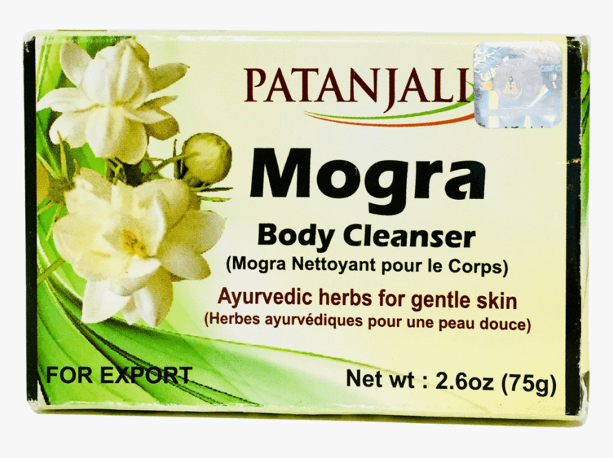 Evergreen Rose, HD Png Download