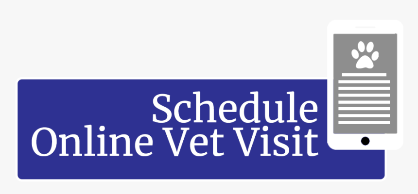 Graphics, HD Png Download