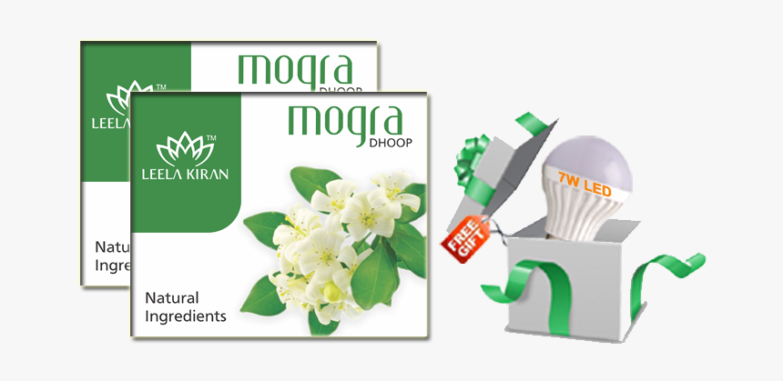 Jasmine, HD Png Download