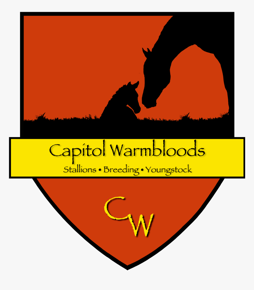 Animal, HD Png Download