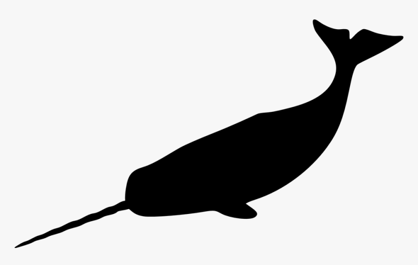 Narwhal, Tusk, Mammal, Whale, Arctic, Tooth, Marine - Narwhal Silhouette, HD Png Download