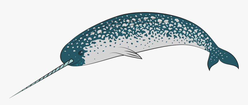 Swordfish, HD Png Download