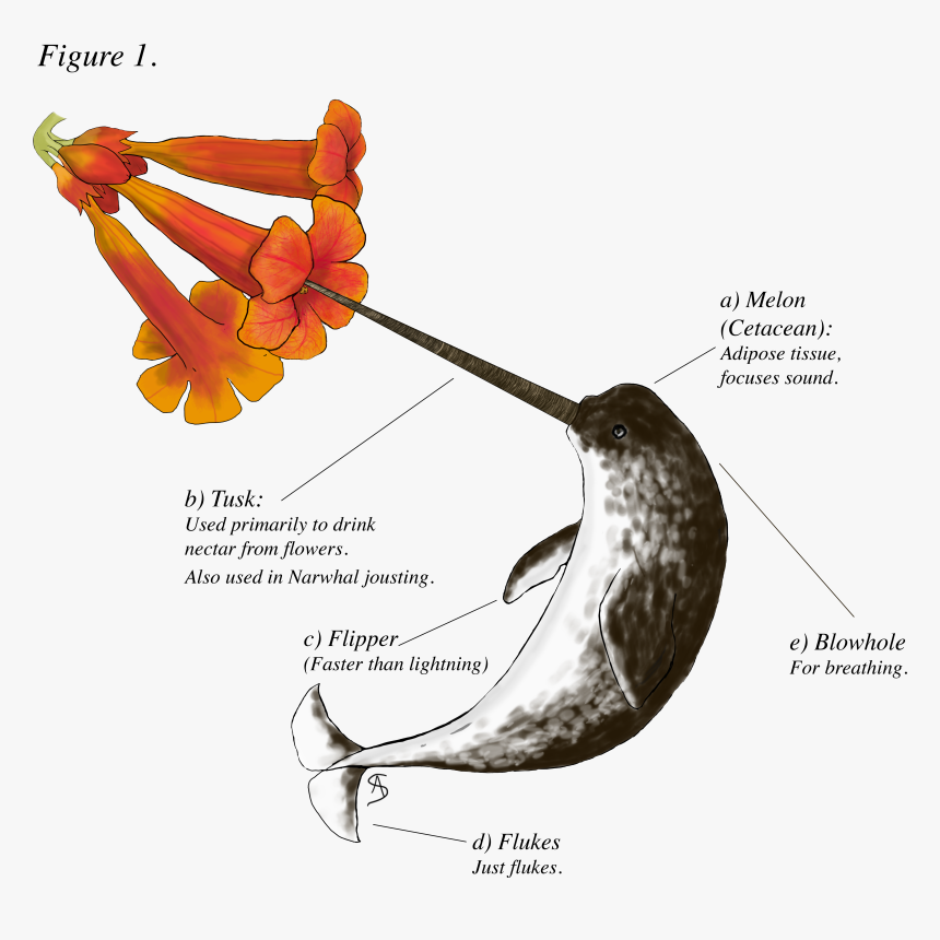 T-shirt, HD Png Download