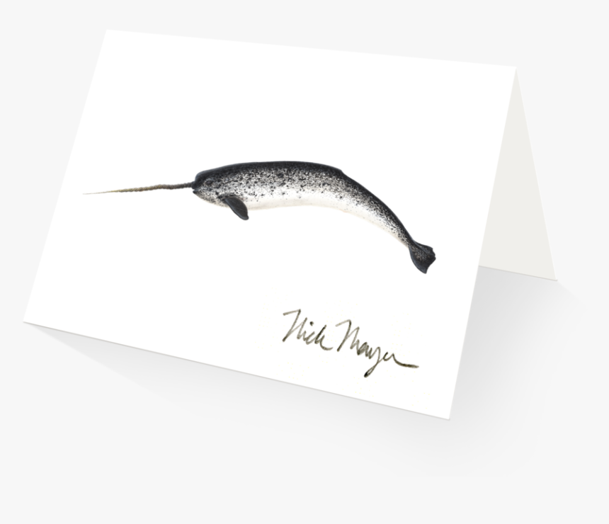 Narwhal - Beloniformes, HD Png Download