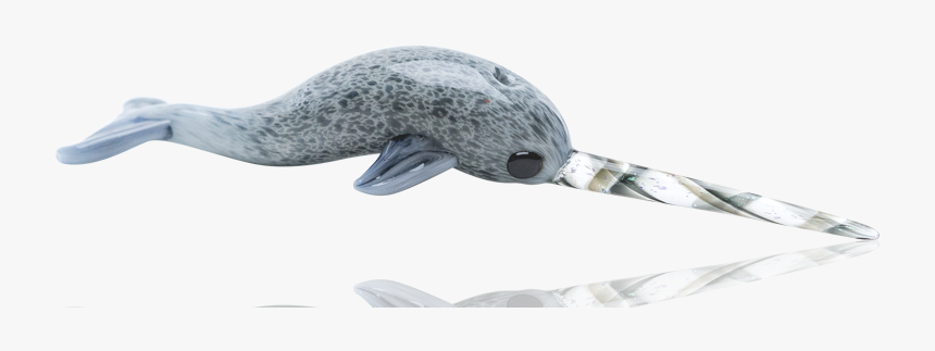 Custom Glass Ned The Narwhal Dabber By Empire Glassworks - Humpback Whale, HD Png Download