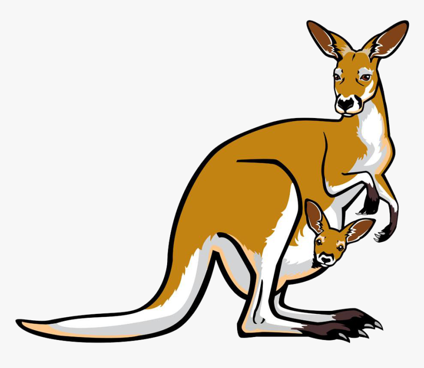 Red Kangaroo Pouch Illustration - Transparent Background Kangaroo Cartoon, HD Png Download