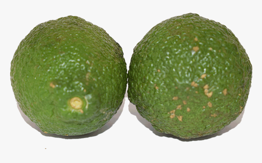 Persian Lime, HD Png Download
